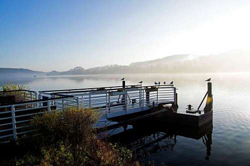 pier foggy lakeside birds morning seagulls mooring waterfront sunshine system water