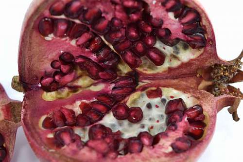 reddish pomegranate section cross kernel macro reddish seed fruit sweet kb