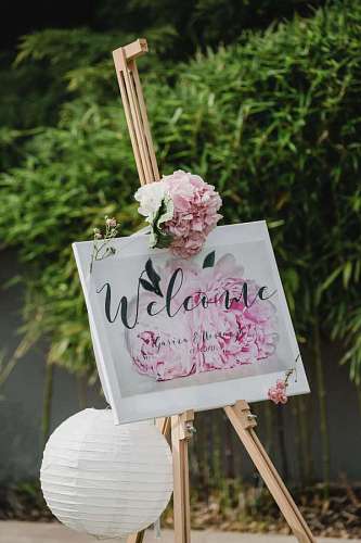 venue romantic welcome outdoors leaf nature flower