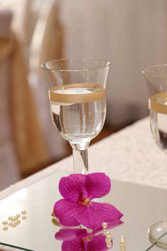 wine champagne glass crystal flower arrangement orchid decorative elegant  domain