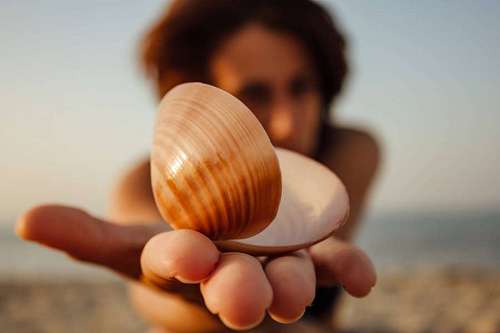 seashell woman seashell relaxing young blur sunshine sand season sol raio  relaxamento verao mar mulher