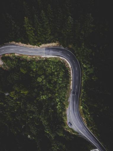 car  vehicle  travel  road  trip  outdoor  green