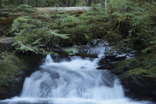 falla naturaleza paisaje agua cae árboles hojas verde