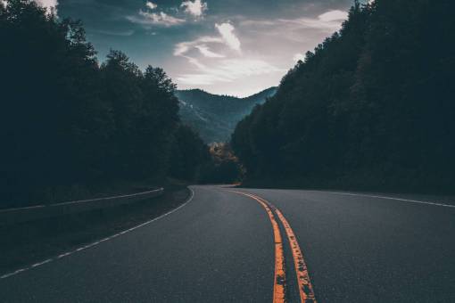 🥇 Image of trees road lights dark sky freeway nature - 【FREE PHOTO ...