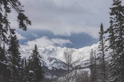 trees  snow  winter  fog  mountains  travel  trip