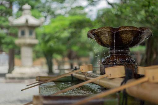 fuente fuente de agua árbol planta difuminar naturaleza