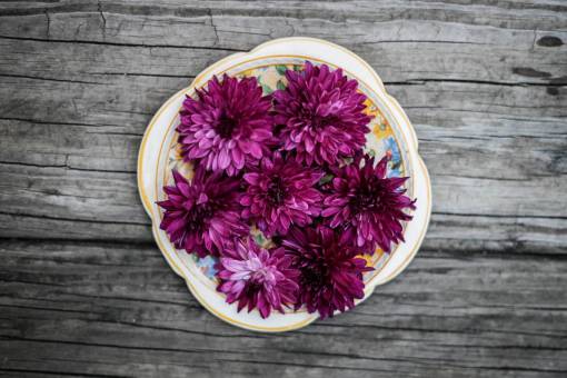 flor rosa plato de mesa de madera flor rosa púrpura flor