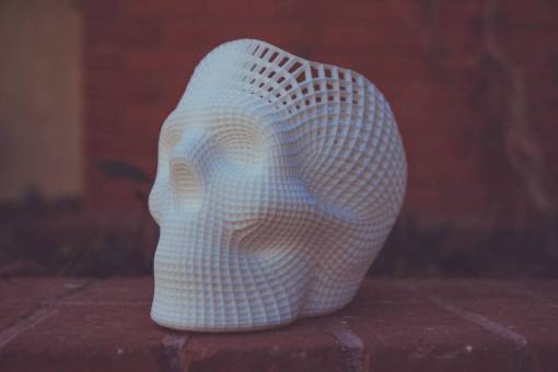 3d-scanning 3d print skull