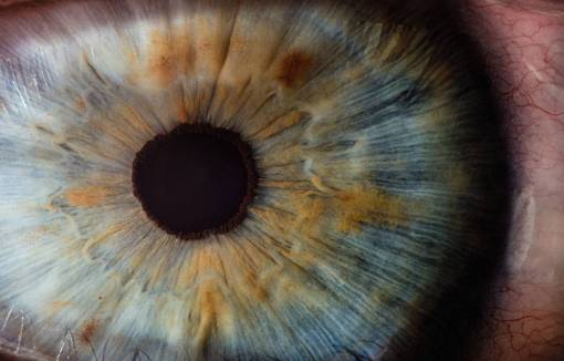 backgrounds macro;woman;eye pattern macro nature abstract close-up