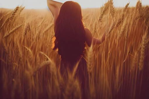 nature woman;wheat field outdoors summer sunset women lifestyles