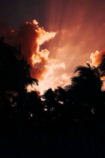 sunset sunset summer sun nature dusk outdoors