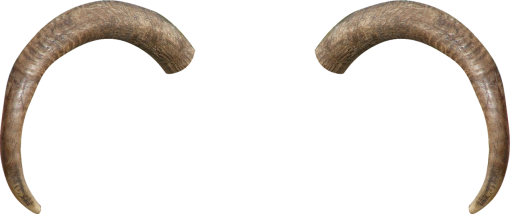  backgrounds halloween png design overlay illustration animal horn