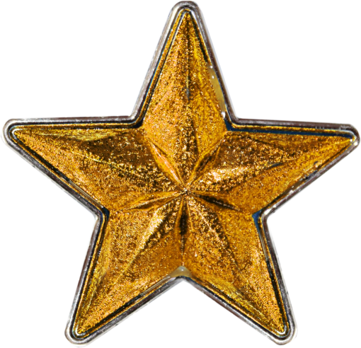 luxury-hotel  christmas star decoration shiny overlay png metal gold colored
