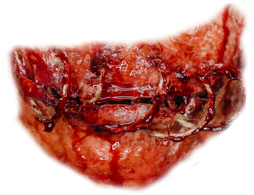 zombie  close-up backgrounds png mouth zombie overlay food