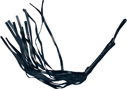 whipped  close-up overlay halloween backgrounds whip png