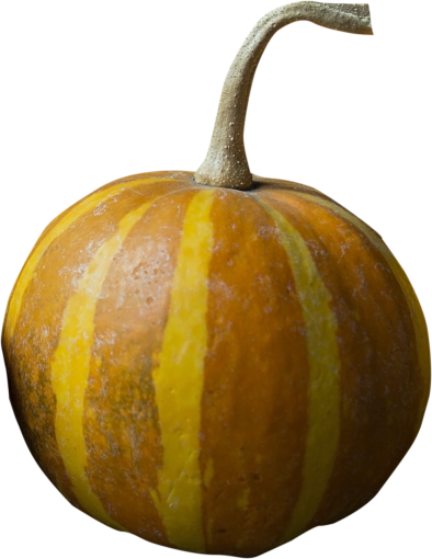 halloween pumpking autumn october png pumpkin overlay