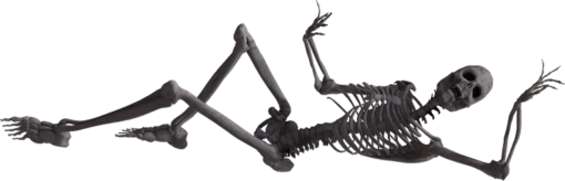 skeleton  illustration architecture png skeleton overlay vector halloween