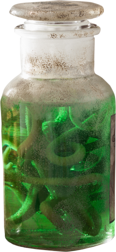 warm  jar halloween warms close-up overlay green color png