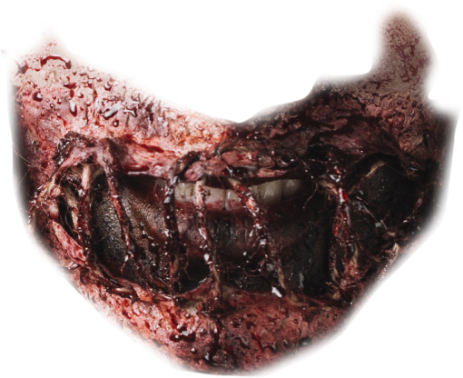 zombie  mouth zombie png close-up one person overlay blood