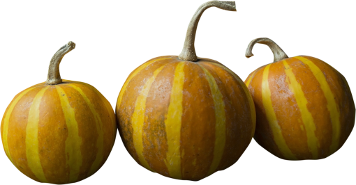  png autumn pumpking halloween overlay vegetable pumpkin