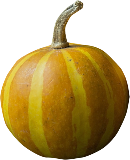  pumpkin png autumn halloween pumpking overlay october
