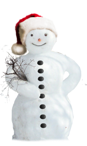 humor  season snowman winter Snowman png snow overlay