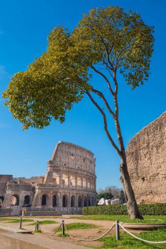 ruin Rome, Italy