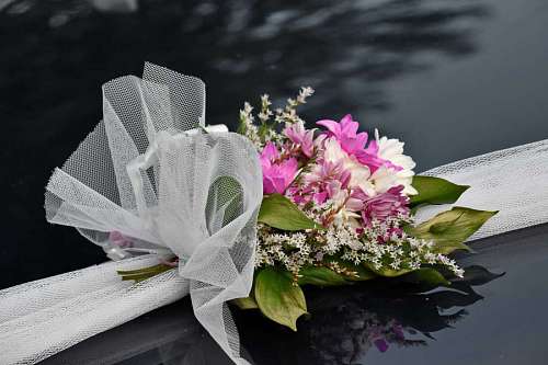 arrangement bouquet ceremony decoration shrub romance leaf nature flower 