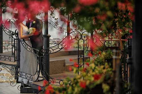 balcon balcón novio valla ramo jardín de flores celebración novia decoración árbol