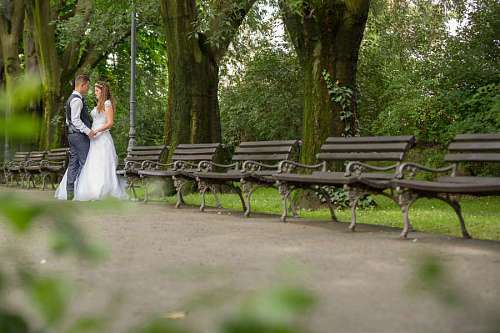 muebles banco novio novia romántica caminar asiento muebles parque jardín