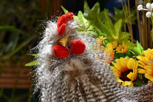 bird ornament craft handmade rooster decoration still plant flower 