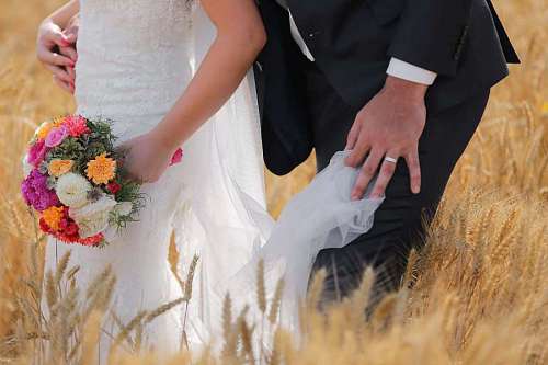 bouquet barley suit field groom marriage couple woman
