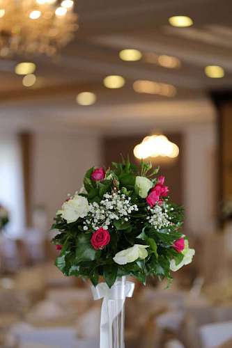 flores elegantes ramo flor flores elegante arreglo interior interior novio kb