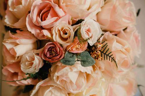 ramo rosas romance rosado matrimonio rosas pastel novio matrimonio sposo amore