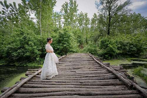 swamp bridge swamp wooden tree wood bride groom rural nature  1200
