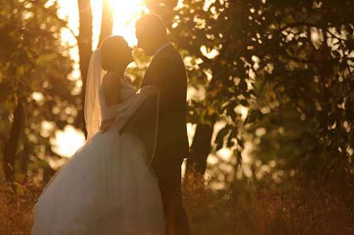 wife embrace groom sunshine autumn wife married sunset bride 