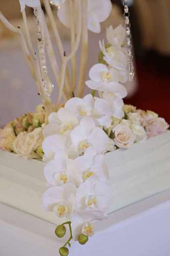 orchid flower orchid arrangement crystal decoration elegance bouquet flowers 