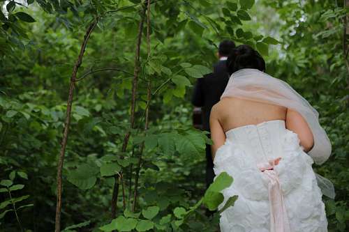 veil forest veil bride trail groom happiness