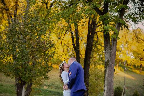 besos novio campo novia aire libre beso álamo hoja otoño bosque amarillo