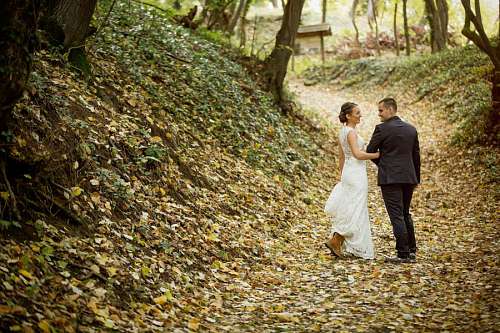 hillside-houses hillside forest groom aspen path bride leaf autumn nature season tree