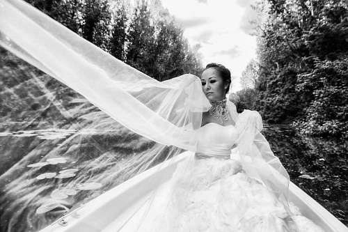 veil nature marriage veil gorgeous pretty wind bride