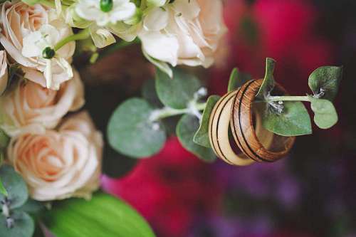 anillo pétalos anillos artesanal ramo hecho a mano hoja planta flores flor