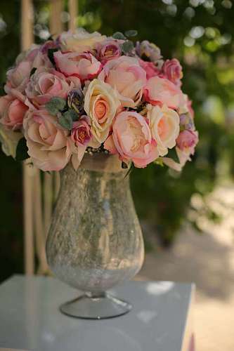 contenedor rosa pastel rosas cristal tarro de cristal florero contenedor todavía flores