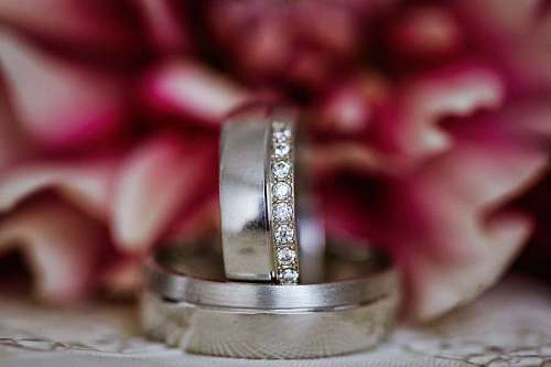 platinum platinum jewel flower ring bijoux rose still mariage morte bague bijou fleur nature