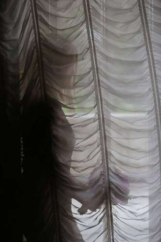 shadow curtain alone pretty bride covering marriage romance texture pattern 