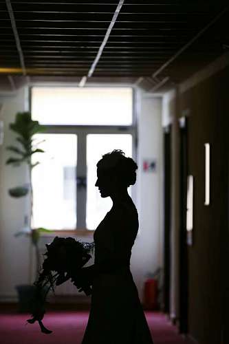 salon sombra, silueta, salón, retrato, interior, ramo