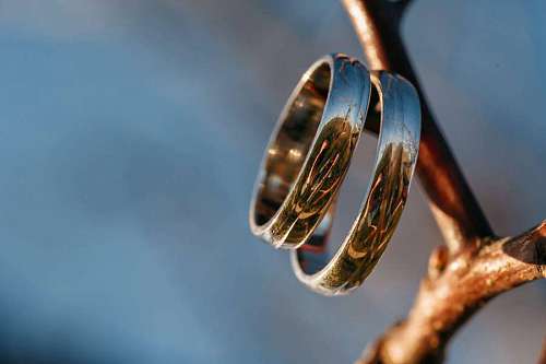 platinum sunrays platinum pair rings metal reflection branches shine golden close 