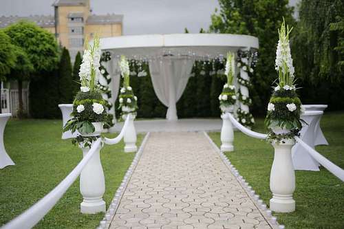 venue backyard patio decorative garden cemetery lawn architecture flower