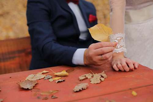 yellow leaves yellowish bride autumn season brown groom leisure hands wood woman