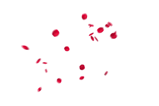  Falling Red Rose Petals Overlay PNG